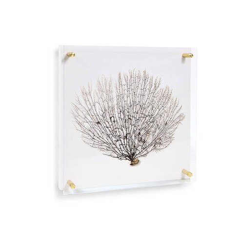 Sea Fan Wall Art on Acrylic Small - Live from Detroit™